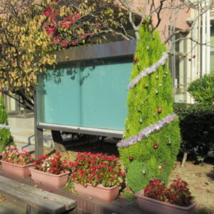 第２回学校説明会を行いました。