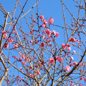 第３回学校説明会を実施しました。