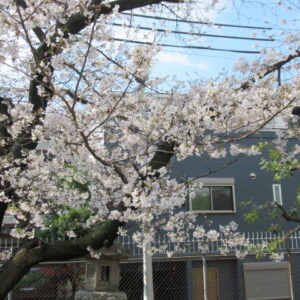 新入生検診を実施しました。