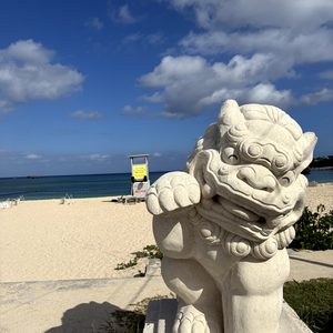修学旅行　４日目（速報）